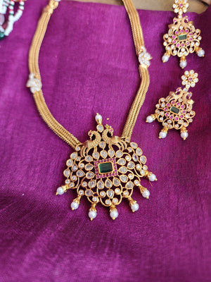 Aarvi goldplated contemporary hasli Necklace set