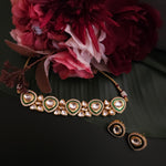 Aanshi kundan choker necklace set