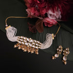 Aanshi kundan choker necklace set