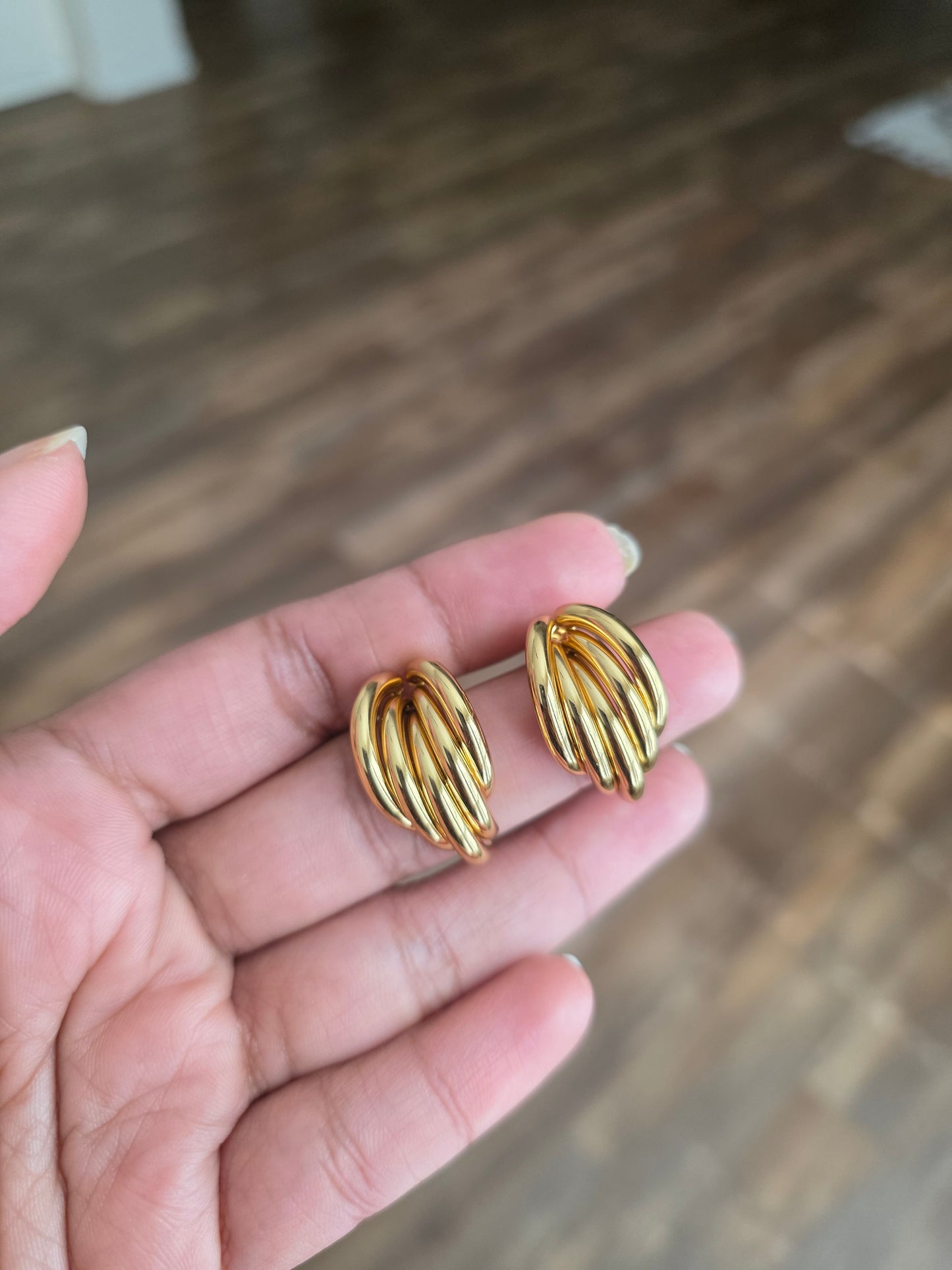 Ariana stainless contemporary hoop earrings collection
