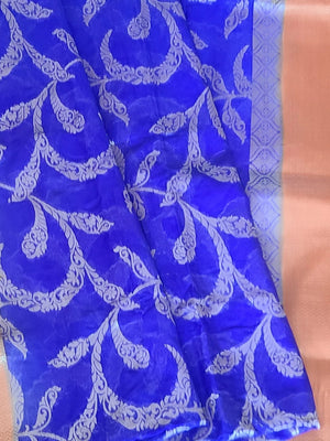 Banarasi georgette saree