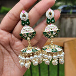 Meenakari handpainted jhumka earrings