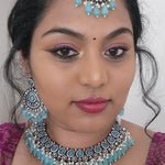 Ashwi polki kundan necklace set